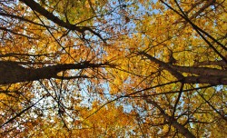 autun '12