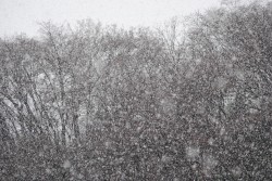 16 gennaio 2013