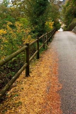 strada per il camposanto