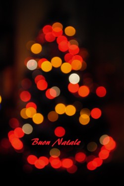 Auguri